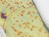 فطائر هشة ولذيذة 🥞