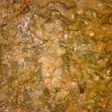 Spinach soup