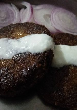 A picture of Soya Galouti Kebab.