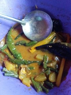 Foto resep Lodeh Pepaya + kacang panjang + cabe ijo