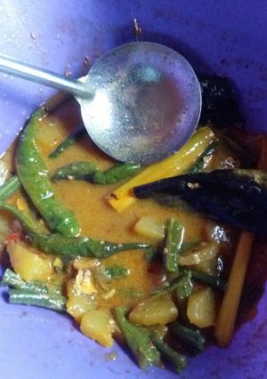 Foto resep Lodeh Pepaya + kacang panjang + cabe ijo