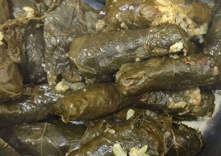 محشي ورق عنب