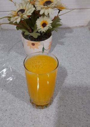 عکسی از دستور آب پرتغال