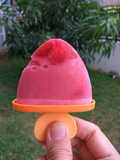 Strawberry Yogurt Ice Cream/ Popsicle