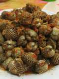 Kerang Dara