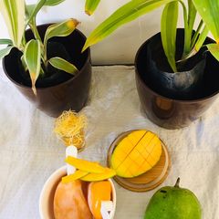 A picture of Mango popsicles.