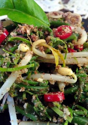 Foto resep Anyang Pakis Toge (Salad Aceh)