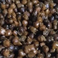 A picture of Masala chana.