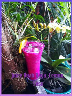 Foto resep Juice buah naga, Lemon, Susu