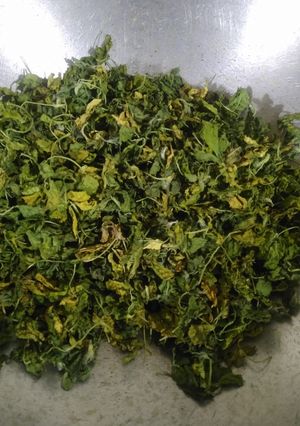 કસૂરી મેથી (Kasoori Methi Recipe In Gujarati) રેસીપી મુખ્ય ફોટો