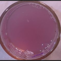 A picture of Purple butterfly pea flower tea.