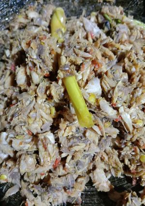 Foto resep Suir Tongkol
