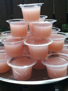 Foto resep Puding Rasa Pop Ice