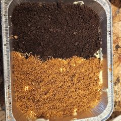 A picture of Kansas Dirt Cake.