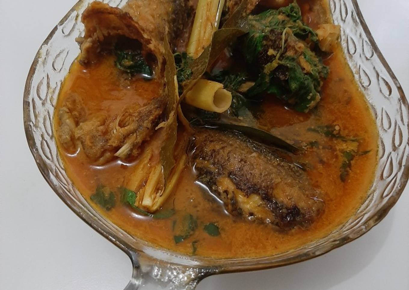 Rica2 ikan lele
