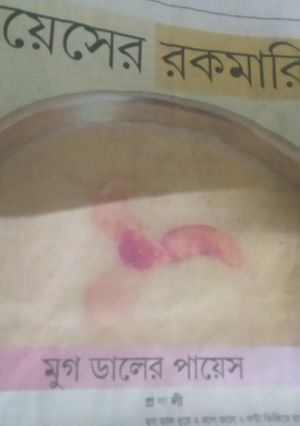 A picture of Moong Daler payesh.