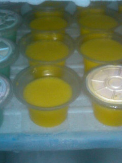 Foto resep Ice cream ala ala Woles endess