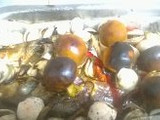 Lubina, merluza, jurel al horno con tomates de árbol