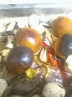 Foto principal de Lubina, merluza, jurel al horno con tomates de árbol