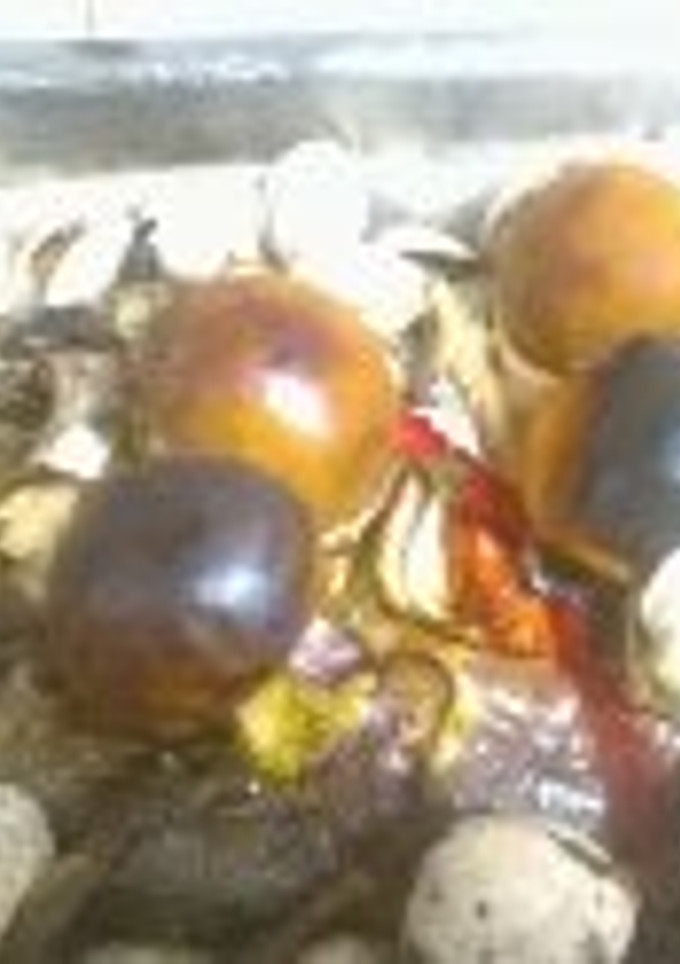 Una foto de Lubina, merluza, jurel al horno con tomates de árbol