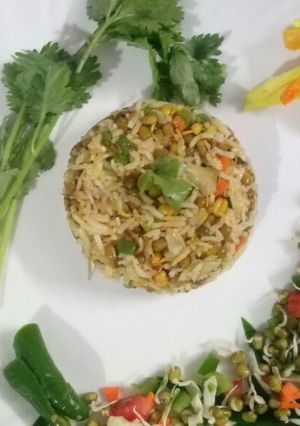 A picture of Protein pack biryani.