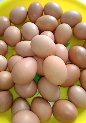 Foto resep Tips :merebus telor tdk pecah dan mudah di kupas