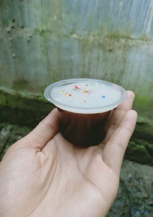 Foto resep Puding fla susu