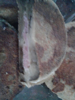 Una foto de Milanesas de berenjenas rellenas