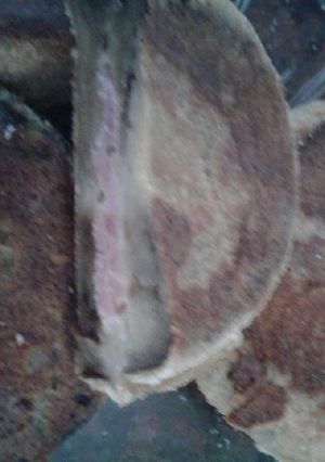 Una foto de Milanesas de berenjenas rellenas