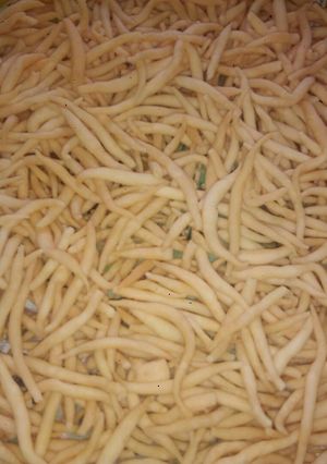 Foto resep TeLuR GaBuS KeJu.u.u