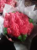 Chocolate Rice Flour Sponge Cup cake