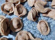 Una foto de cappelletti de jamon y queso