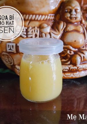 Hình của món #11 | Sữa bí đỏ hạt sen.