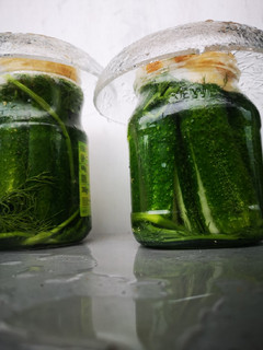 Ungarische Salzgurken Rezepthauptbild