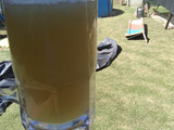 Trago de pileta