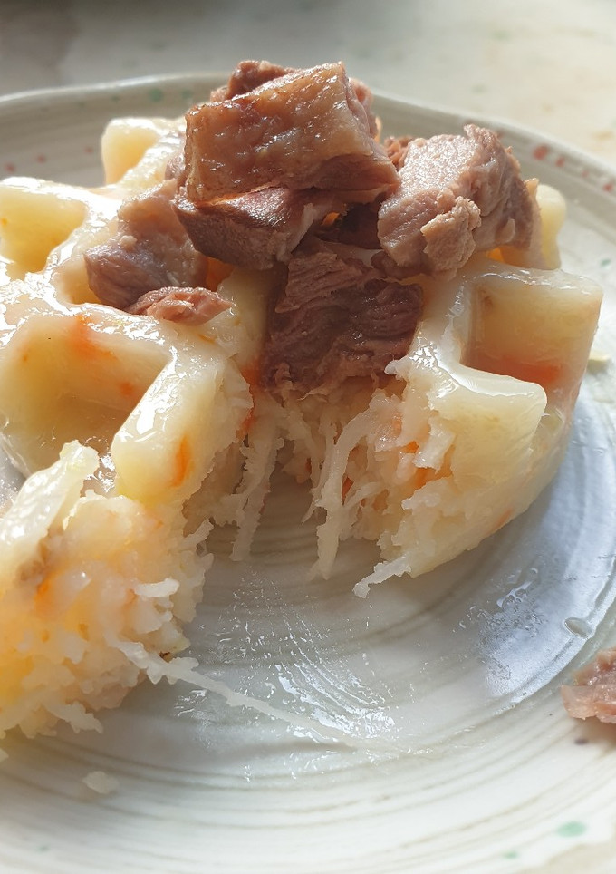 狗狗鮮食～蘿蔔糕 的食譜成品照片
