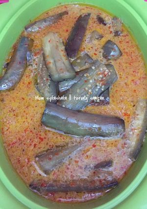 Foto resep Terong kuah santan