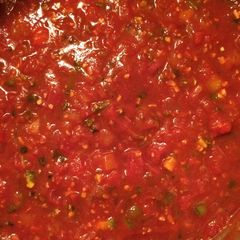 A picture of Salsa.