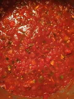 A picture of Salsa.