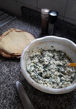 Una foto de Tapas y relleno para canelones...