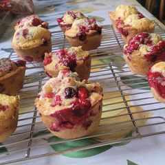 A picture of Cranberry small muffin.