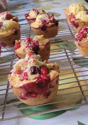 A picture of Cranberry small muffin.
