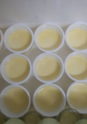 Hình của món Yaout phomai  đà lạt.