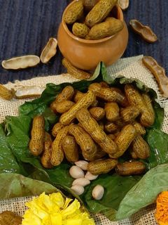 भुईमुगाच्या उकडलेल्या शेंगा (bhumongachya ukadlelya shenga recipe in marathi) रेसिपी चे मुख्य फोटो