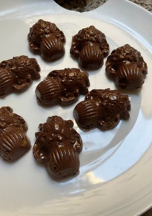 Une photo de 🎅🍫Bouchées dubai chocolat à offrir🎄🥳