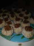 Pepas de Coco y harina Integral
