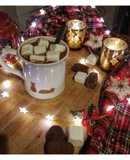 Homemade Hot Chocolate (Light - Diet)