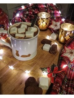 Une photo de Chocolat chaud maison (light - diet)
