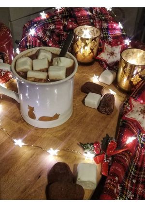 Une photo de Chocolat chaud maison (light - diet)