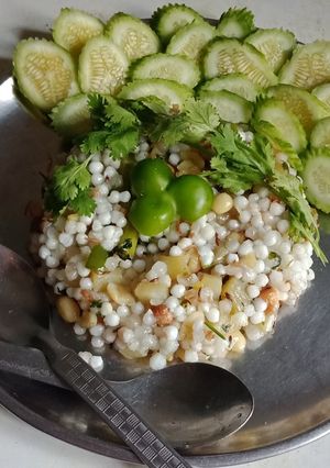 સાબુદાણા ની ખિચડી (Sabudana Khichdi Recipe In Gujarati) રેસીપી મુખ્ય ફોટો